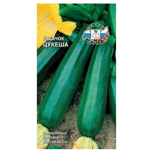 ������ ������ ������ ����� ������� ������ ����