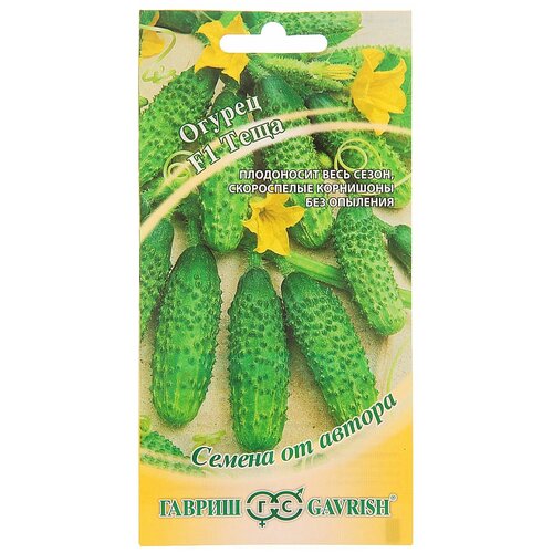 ������ ������ ������ ������ ���� F1 ������ �� ������ 10 ��. ����