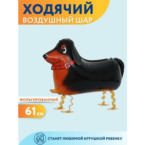 ������ ������ ��������� ��� ������� ������ ����� ����