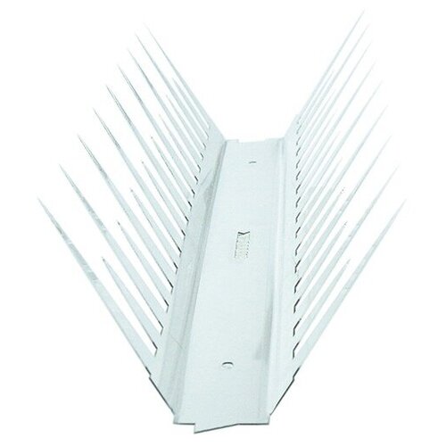 ������ ������ ���� ���������������� �� ���� SITITEK ������ 2� ������� ����