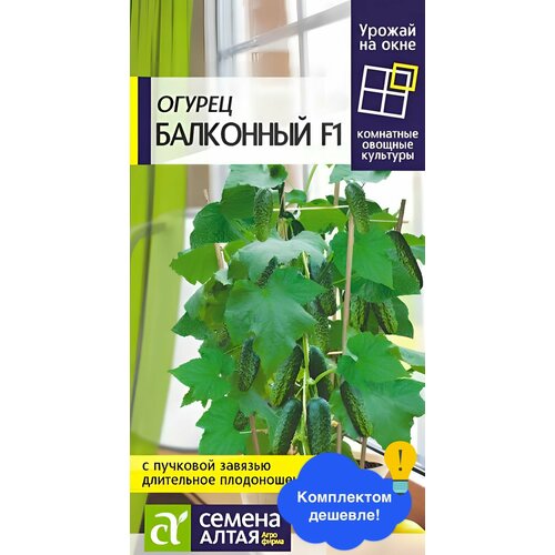 ������ ������ ������ ������ ������ ����� 