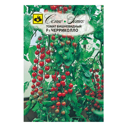 ������ ������ ������ ����� ���������� F1 10�� ����� ������ (�����) ����