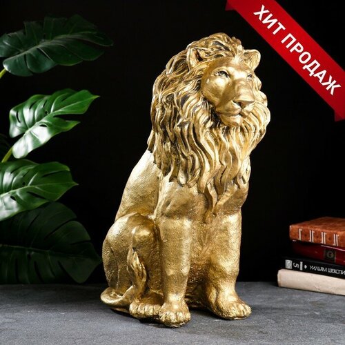 ������ ������ ������ 