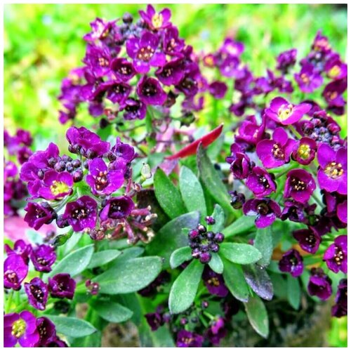 ������ ������ ������ ������ ������� ���������� �������� 50 ��. ����