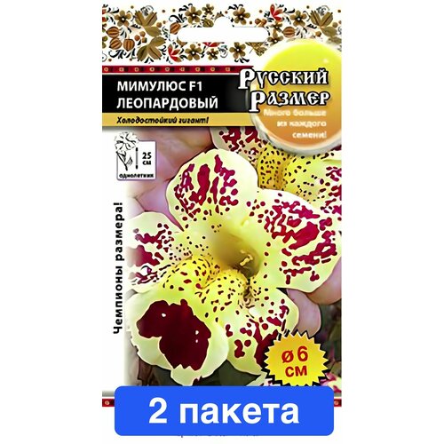 ������ ������ ������ ������ ������� ������ 