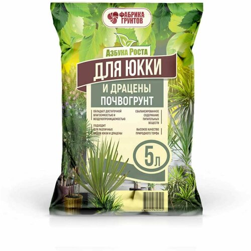 ������ ������ ���������� ��� ���� � ������� 5� ����