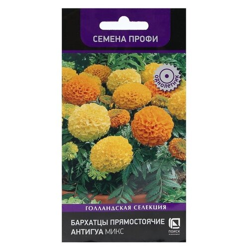 ������ ������ ������ ����� �������� ������������ ������� ����, 15 �� ����