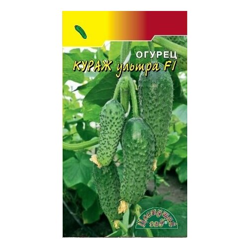 ������ ������ ������ ������ ����� ������ F1 �������� ��� ����