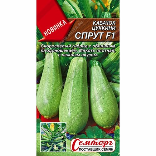 ������ ������ ������ ������� ����� F1 ������� (������) �� 5�� ������� ����