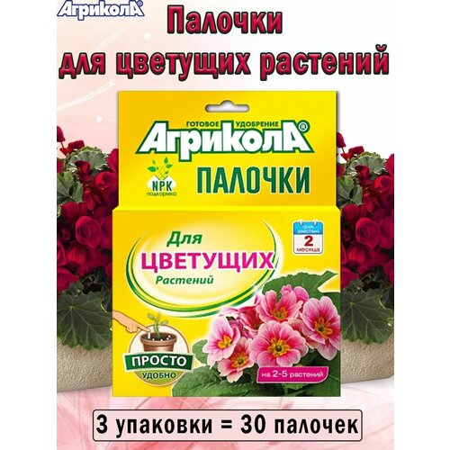 ������ ������ ��������� �������� ������� ��� �������� ��������, 3 �������� ����