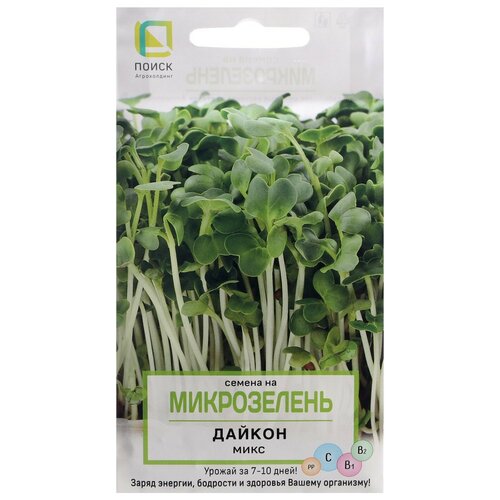 ������ ������ ������ ����� ����������� ������, 5� ����