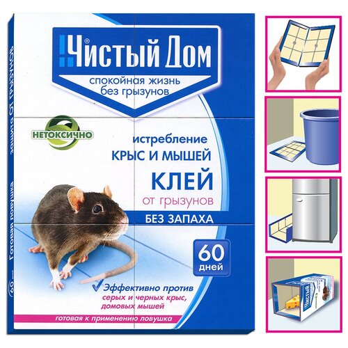 ������ ������ �������� �� �������� ������ ���, ����-������� ����