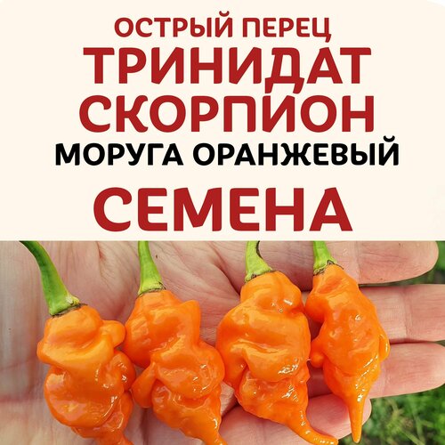 ������ ������ ������ ����� ������ �������� ������ �������� ��������� ����