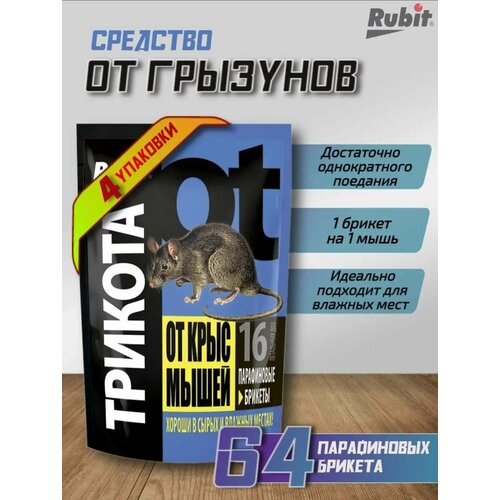 ������ ������ ����������� ������� �� ���� � ����� ������� 4 �������� ����