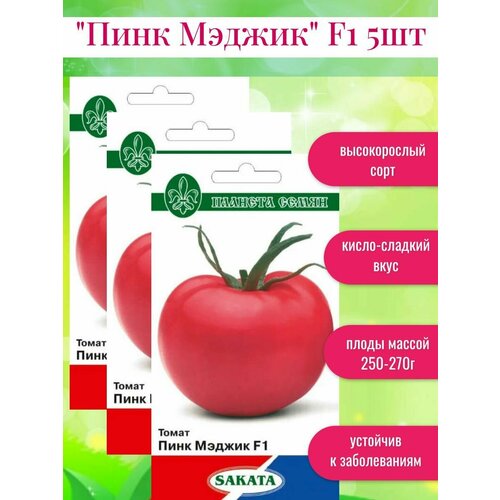 ������ ������ ������ ������ ���� ������ F1 ����