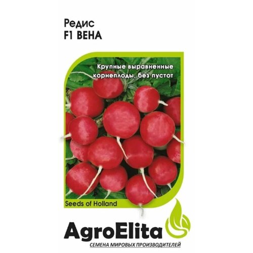 ������ ������ ������ ����� ���� F1 0,5� ������ (���������) ��������� ����