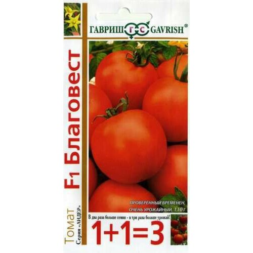 ������ ������ ������ ����� ��������� F1 25�� ��� ������ (������) 1+1 ����