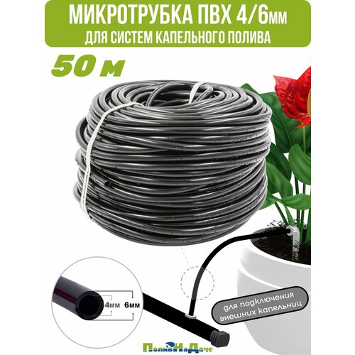 ������ ������ ������(�����) ��� 4/6�� ��� ������ ���������� ������ (����� 50 �) ����