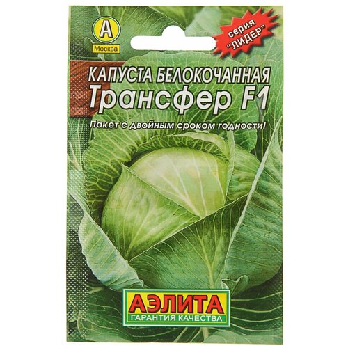 ������ ������ ������ ������� ������������ 