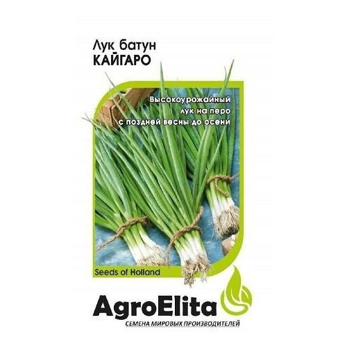 ������ ������ ������. ��� ����� 