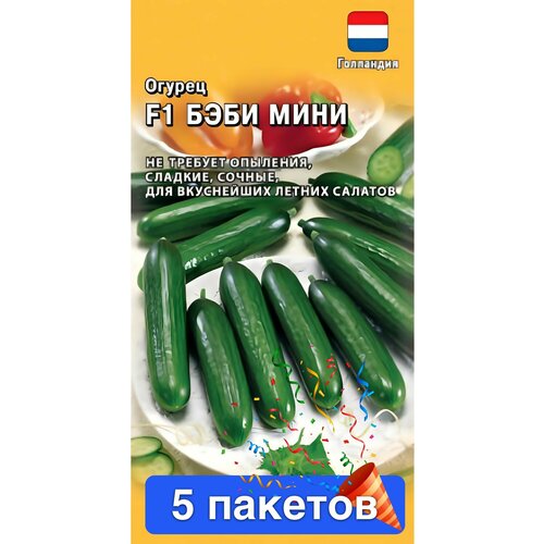 ������ ������ ������ ������ ������ 