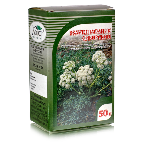 ������ ������ ������������� ���������, ������ 50��. ����