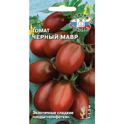 ������ ������ ����� ������ ���� (3 ��������), ������ ����