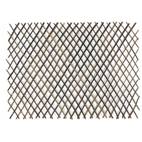 ������ ������ ����� ��� �������� 