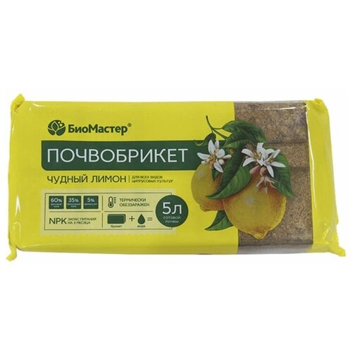 ������ ������ ����������� ��������� 