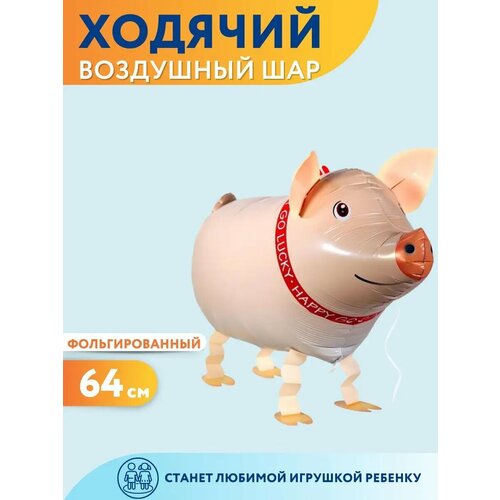 ������ ������ ��������� ��� ������� ������ ������ ����