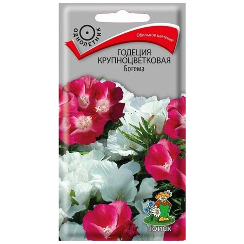 ������ ������ ������ ������� ��������������� ����� ������ 0,2 � ����