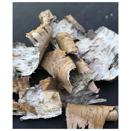 ������ ������ ������� ��� ������� (��������), 6��/����� ����