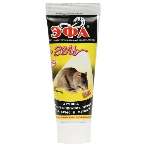 ������ ������ �������� ��� ���� �� ���� � �����, ����, 0.08 � ����