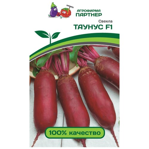 ������ ������ ������� ������ 