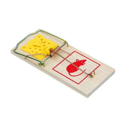 ������ ������ INBLOOM ��������� 179�79��, ������, ������ ����