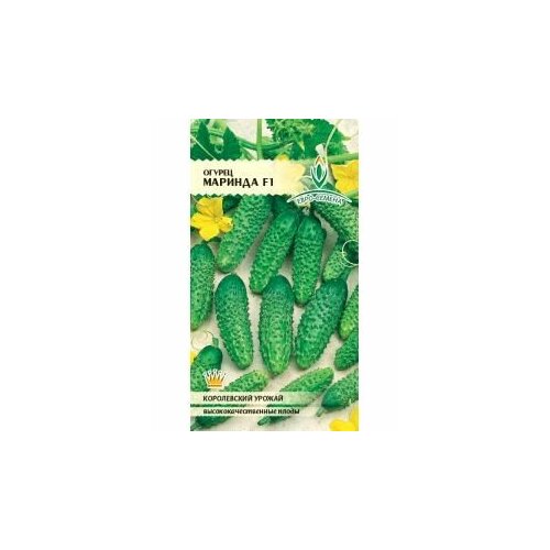 ������ ������ ������ ������ ������� F1 8�� ������������������ ������ (�����) ����