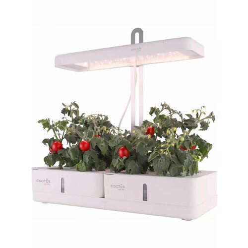 ������ ������ ����������� ������� CS-LEDPOT-08 � LED ���������� 3.0� ����