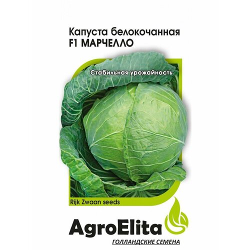 ������ ������ ������ ������� ������������ �������� F1 15�� (���������) ��������� ���� ����� ����