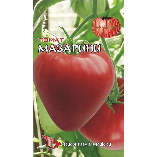 ������ ������ ������ ����� �������� 20�� ����� (����������) ����