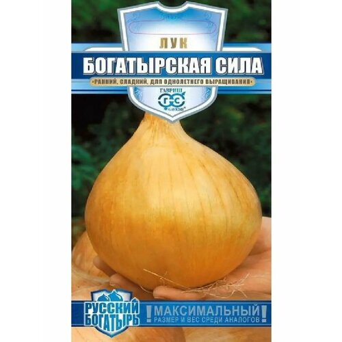 ������ ������ ��� �������� 