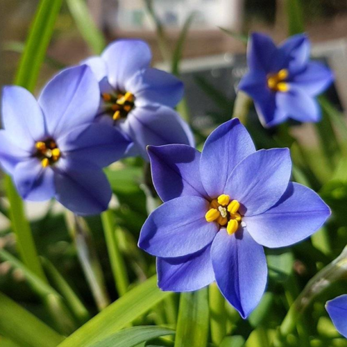 ������ ������ ������ ������ 10 ��. ����