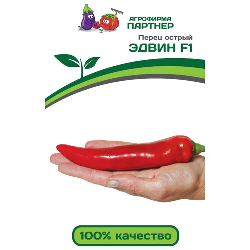 ������ ������ ������ ����� ������� 