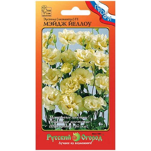 ������ ������ ������� ��������� ����� ������ F1 (5��) ����