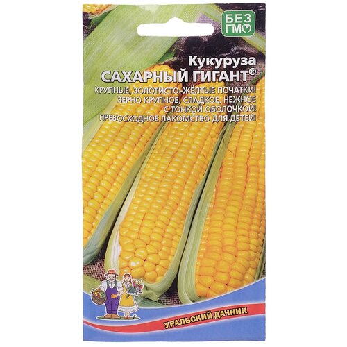 ������ ������ ������ �������� 