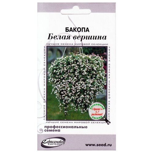 ������ ������ ������ ����� �������, 3 ����� ����