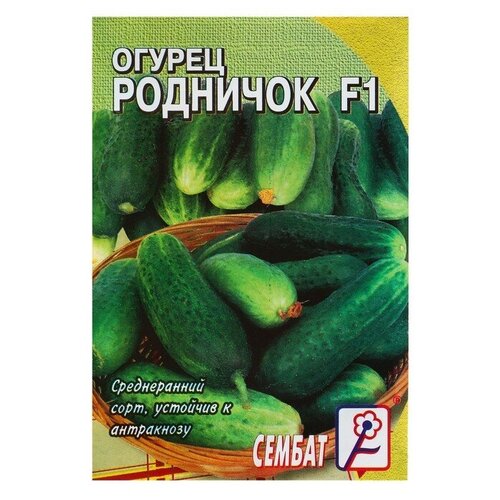 ������ ������ ������ ������ 