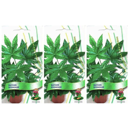 ������ ������ ������ ��������� ��������. 3 ��������. ������ ��������. ��������� ����� ����