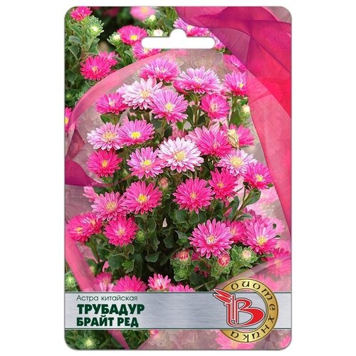 ������ ������ ������ ����� ��������� 