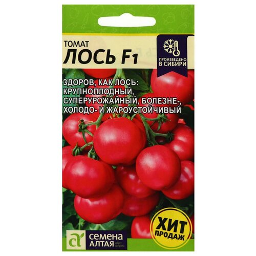 ������ ������ ������ ����� 