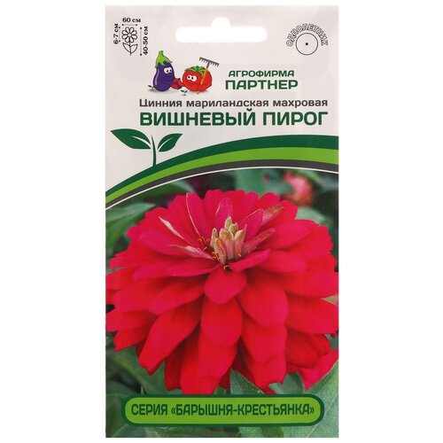 ������ ������ ������ ��������� ������� ������ �������� �������� �����, 5 �� ����